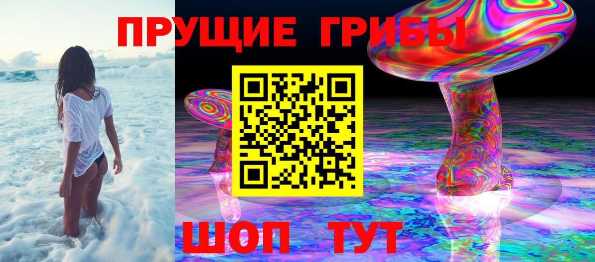Ревда  Галлюциногенные грибы Psilocybine cubensis  Вход с VPN  Галлюциногенные грибы прущие грибы 